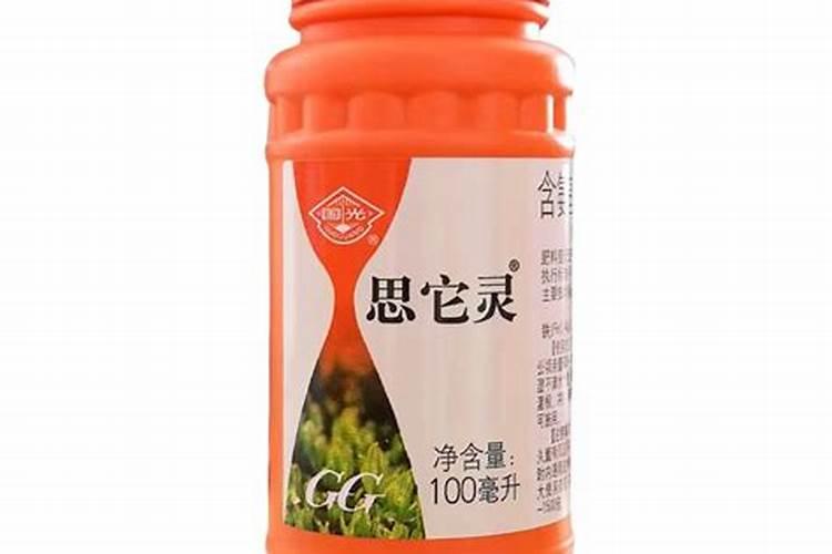 五彩石竹种子多少钱一斤,种植后如何管理