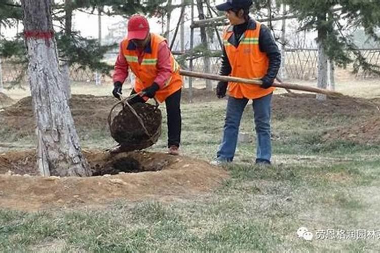 园艺植物主要施肥时期