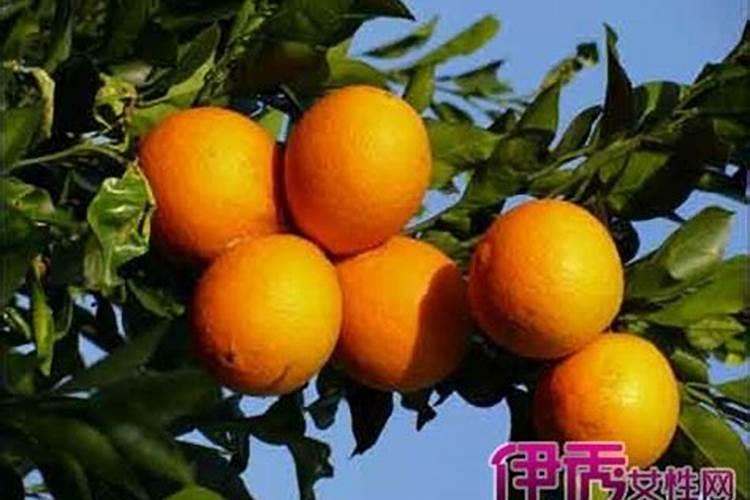 铵态氮肥与草木灰不能混合施用的原因