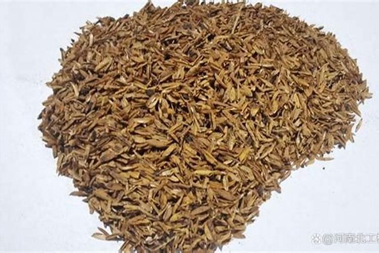 兰花用什么肥料好？