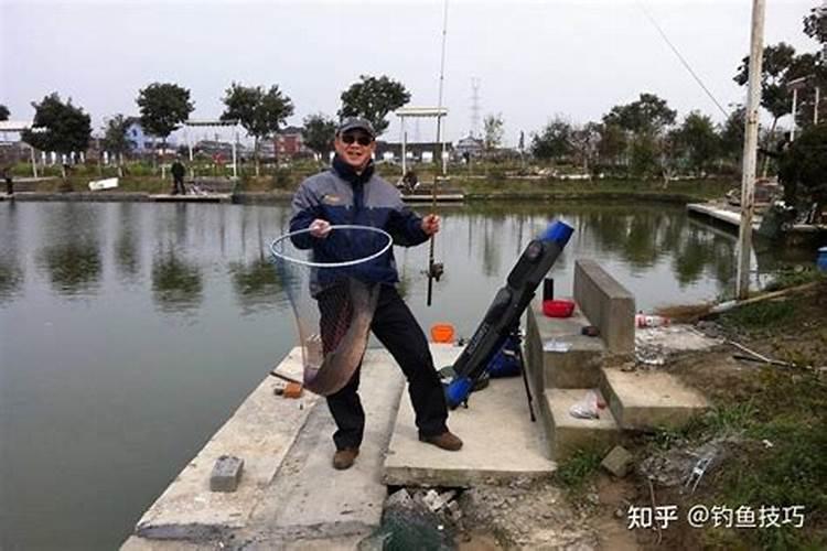 水肥的黑坑用什么小药好