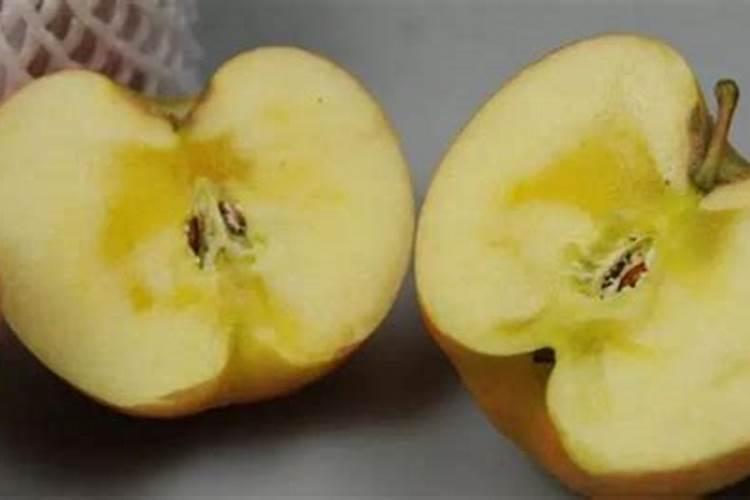 苹果树施肥最佳时间 苹果树什么时候施肥