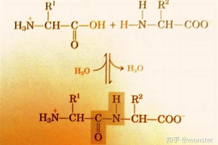 鱼蛋白自制配方