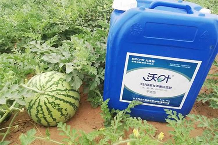 西瓜用的水溶肥和复合肥哪个好