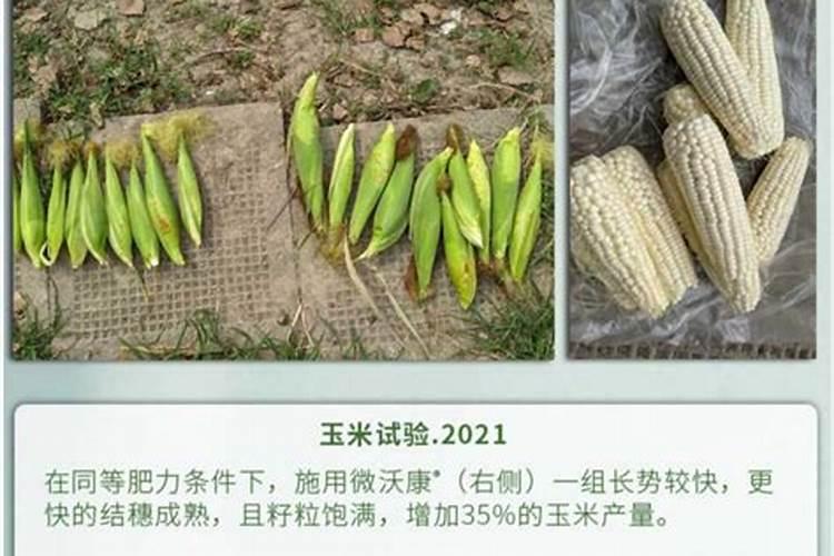 在花生后期,喷施磷酸二氢钾为什么能增产？还有哪些需要注意的地方...