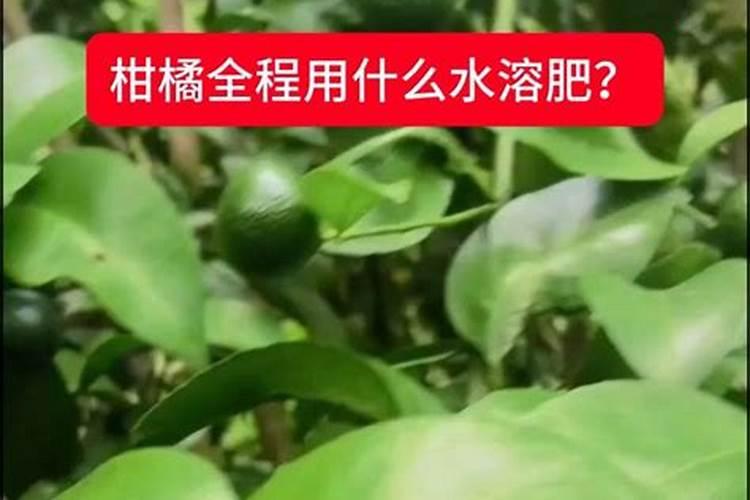 水肥发酵方法 水肥是酸性还是碱性