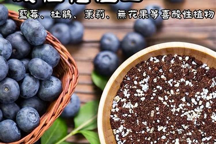 怎么样增加土壤的酸性(怎样调理能使土壤变成酸性土壤)