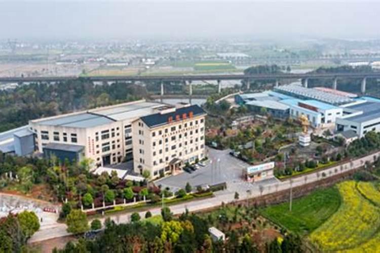 浙江养蛋鸡最多的地方