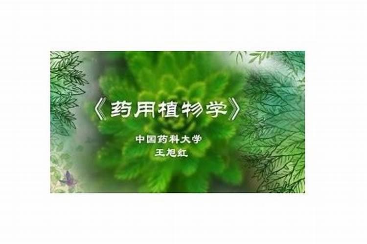 九年级化学化学肥料教案