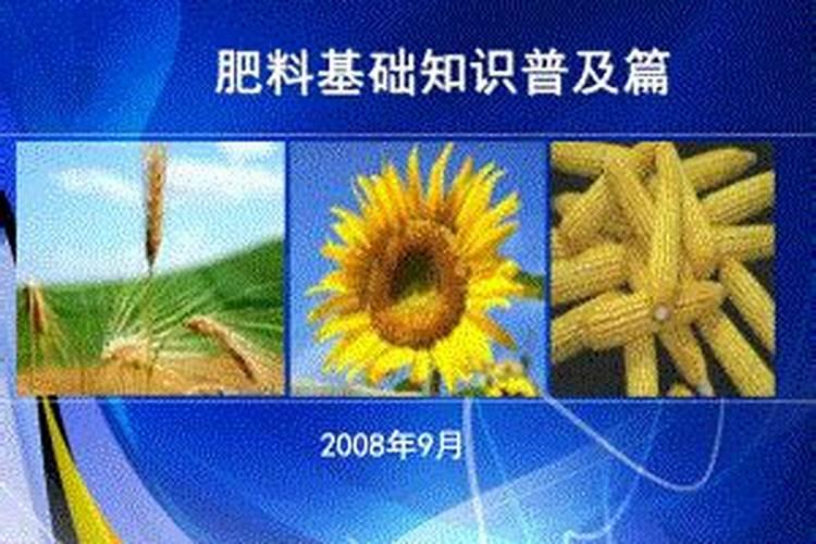 施可丰长效缓释肥与经销商之间的故事,点点滴滴都是感动