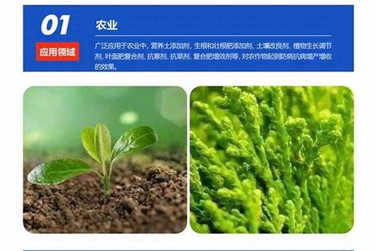 水产腐植酸钠的用途 黄腐酸和腐殖酸的区别