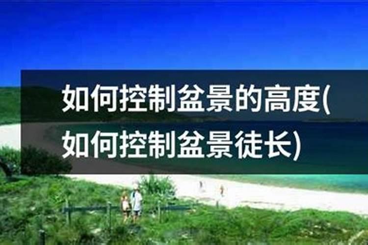 碗莲施钾肥的正确方法