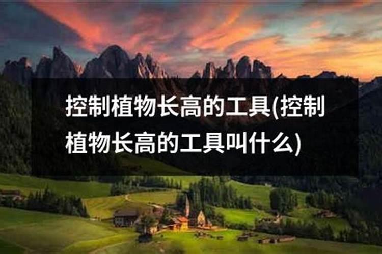 植物却少钾肥怎样办