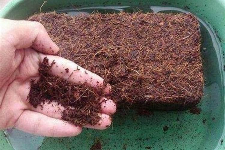 最简单的沤土沤肥方法,沤肥和堆肥的区别