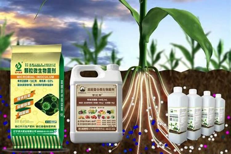 菌肥、菌剂、有机肥、土壤调理剂有什么区别？最详细的介绍