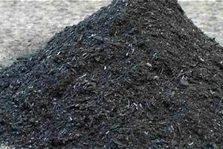 草木灰怎么施肥最好