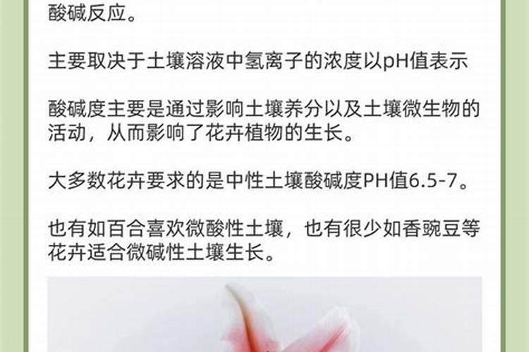 有机肥料的好处有哪些