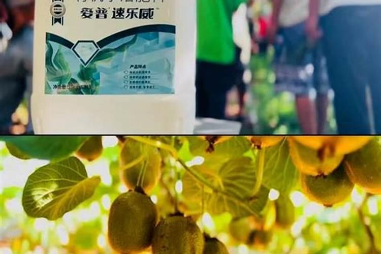 猕猴桃用什么肥料