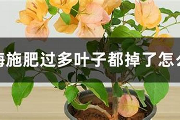 硝酸铵和黄腐酸能同时冲施吗？