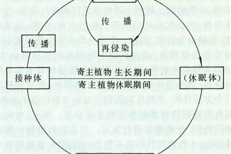 白粉病的病发原因是什么