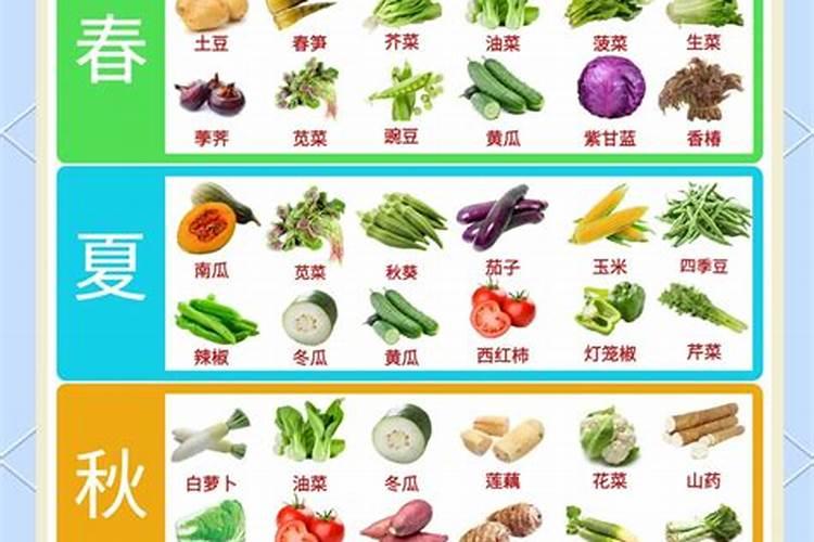 铁皮石斛用什么肥料好 怎么施肥