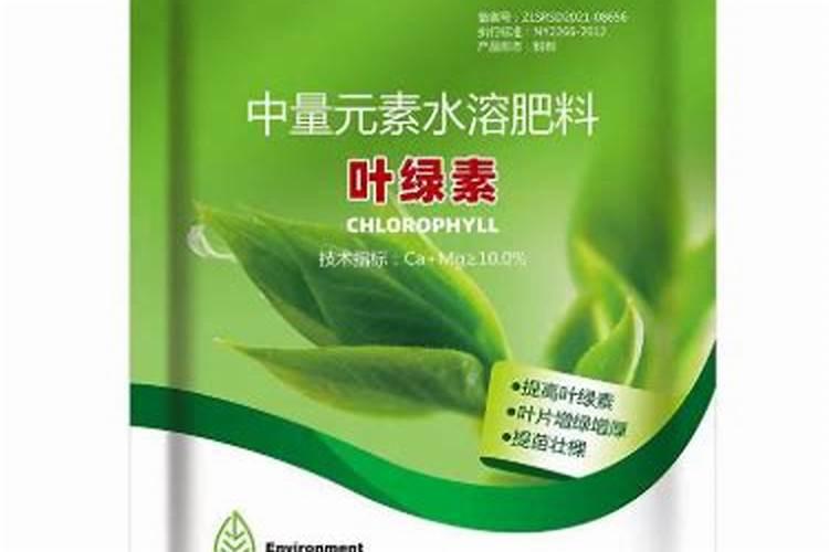 叶绿素叶面肥喷在秧田里能用几次吗？