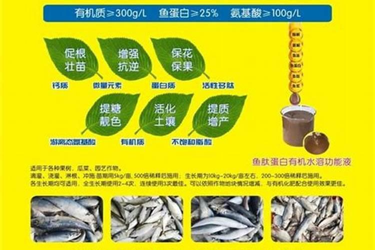 鱼蛋白肥料厂家前十名