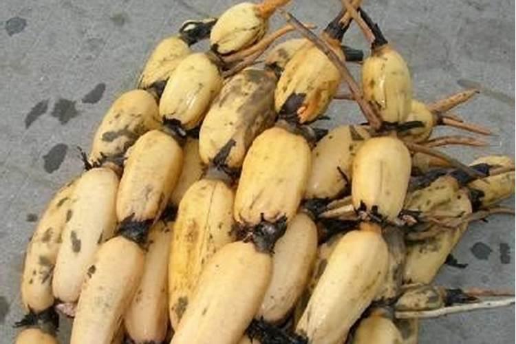 莲藕最爱三种肥料