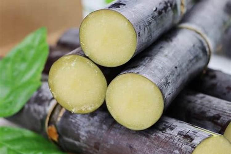 黑皮甘蔗产量低怎么办？如何施肥能够提升产量？