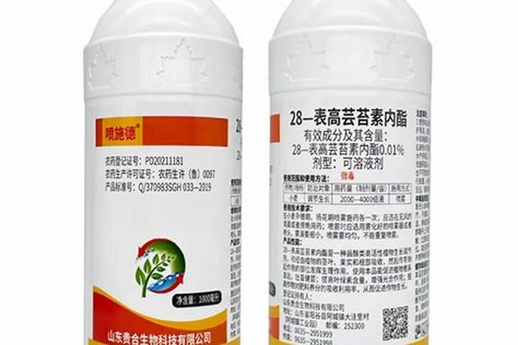 海藻精的正确使用方法