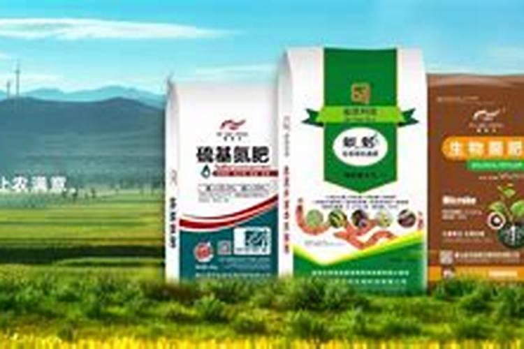 四季花草莓种植前景如何？市场价格是多少？