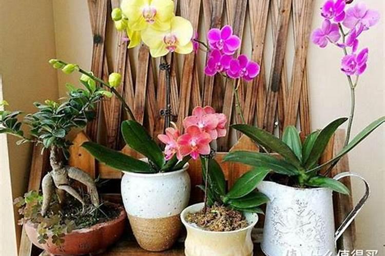 给花草施肥一般是什么季节