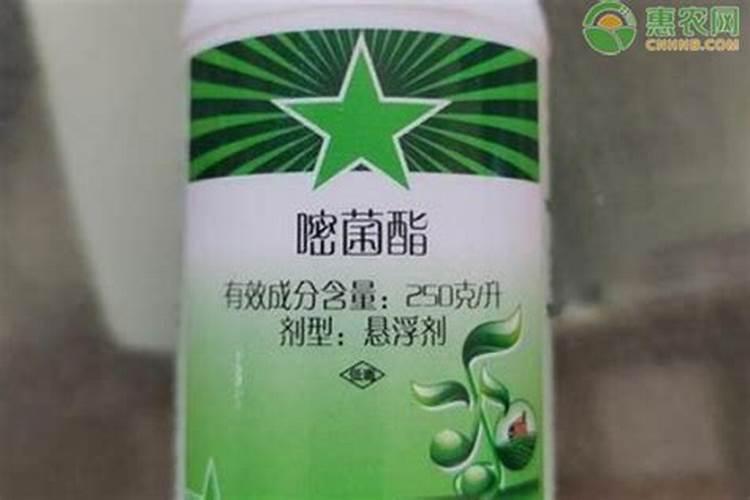 防治锈病最好的杀菌剂