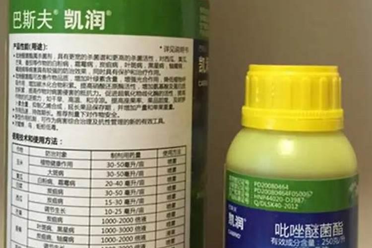 炭疽病最好的杀菌剂