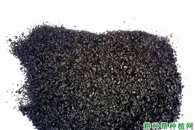海藻精的正确使用方法