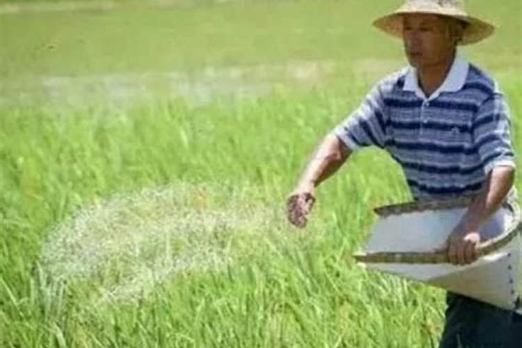 生物肥与尿素能混施吗