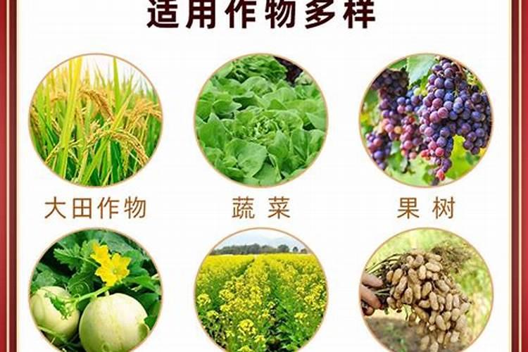 杏树喷施硼肥最佳时间？