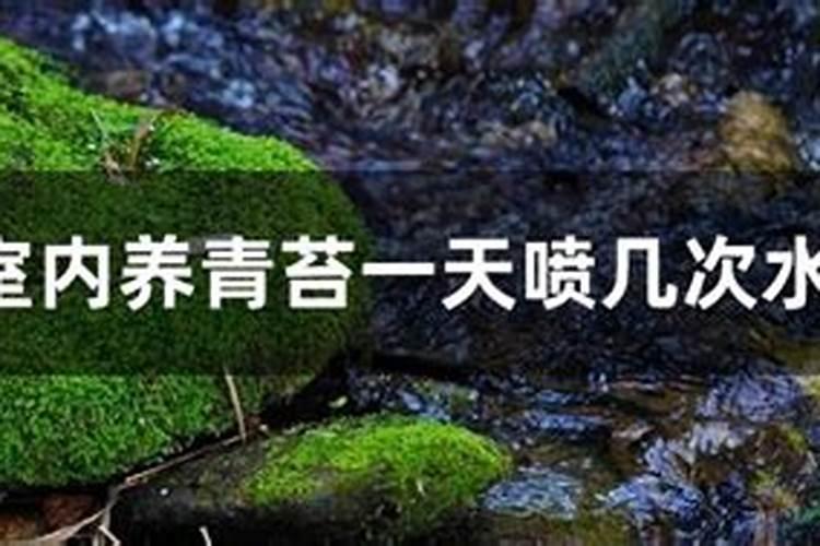 请问这黑色的小虫子是什么虫？第一次在狗粮里面发现的,但是后来也在抽屉...