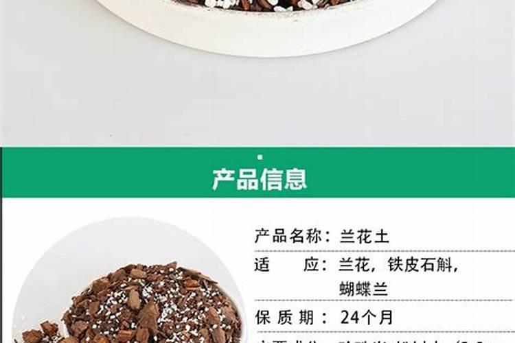 盆栽石斛施什么肥最好