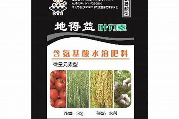 莲藕用什么肥料产量高 施肥方法有哪些