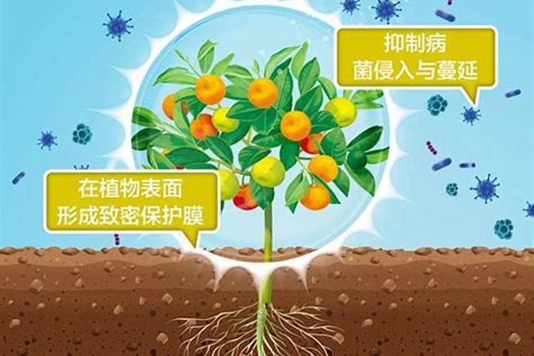 复合肥的配比是怎么回事比如25 12 8或者25 8 7