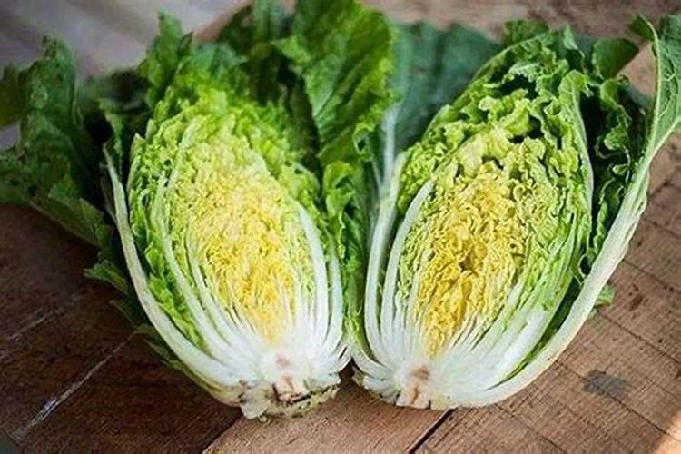 现在种小白菜怎样不让它长虫子(怎样防止白菜生虫子)
