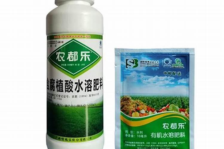 水培栀子花怎样养