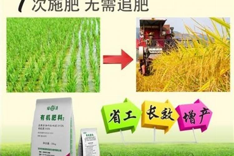 水稻适合用什么含量的复合肥