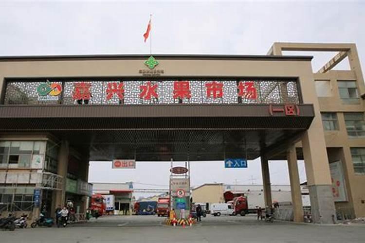 浙江有哪些种植基地