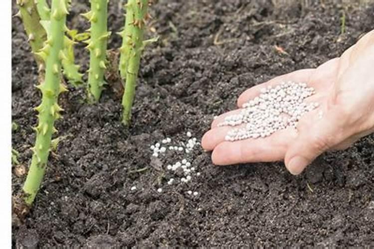 一般将污染物分为几类类别