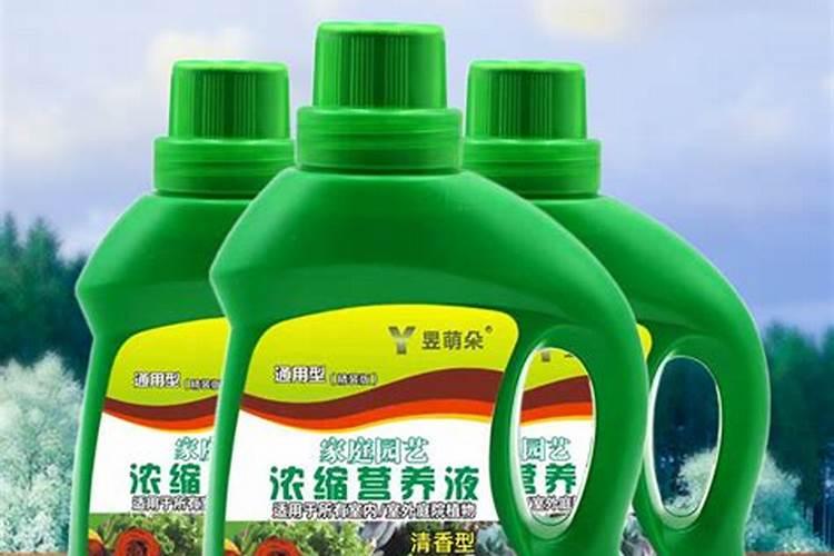 叶面肥有哪些牌子 排行榜都有哪些上榜