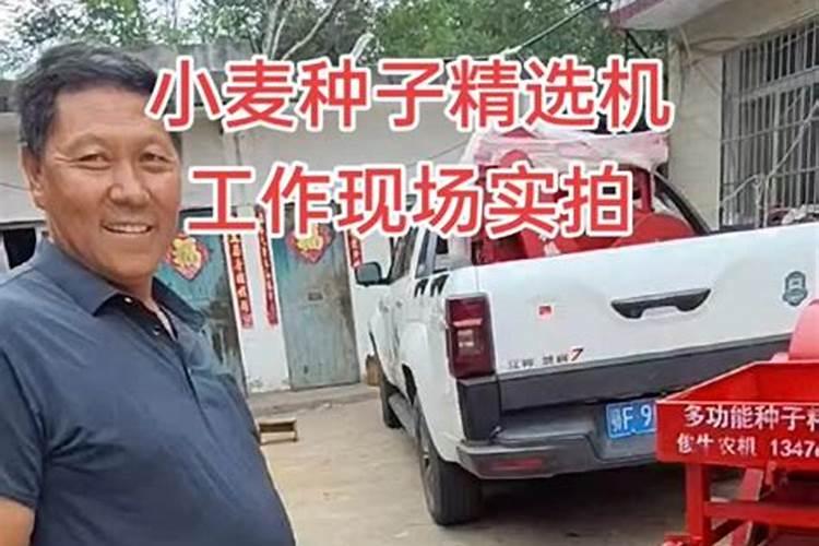 龙眼适合哪里种植 龙眼适合什么地方种植