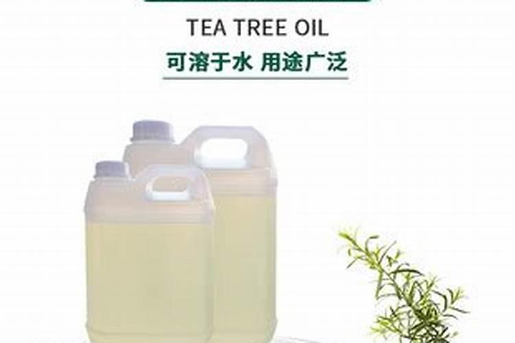 油茶树为什么开花不结果的原因有几种,请告诉我？