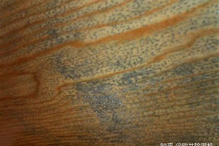 复合肥在水里化了还能用吗？